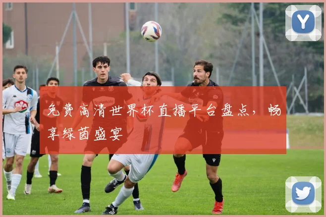 免费高清世界杯直播平台盘点，畅享绿茵盛宴